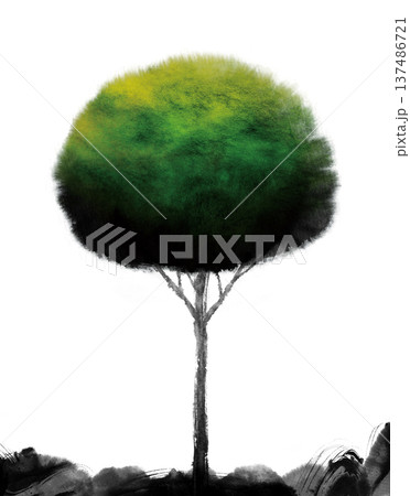 tree on watercolor painting tree on watercolor painting 137486721