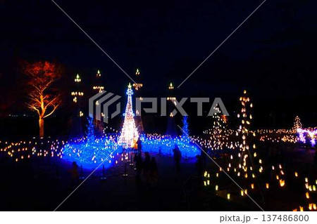 イルミネーション　寒河江市 137486800
