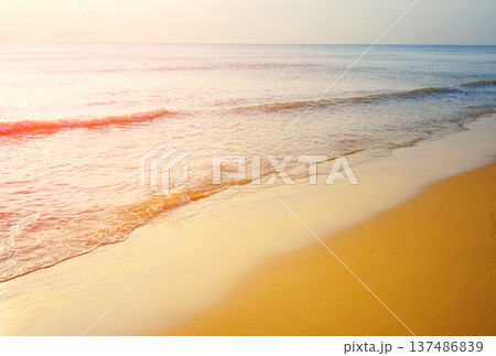Waves at sea on dramatic sunset background. Sea waves at beach. Waves on sea in calm weather.  137486839