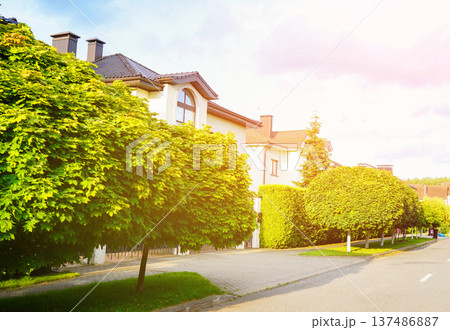 Street in residential area in suburbs at sunset. Rows of houses along the road. 137486887