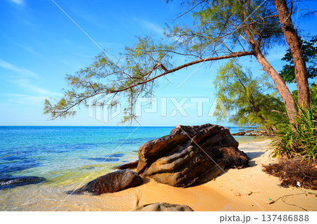 Waves at stone beach on bright blue sky. Ocean shoreline. Beach pebbles. Trees on sea beach  137486888