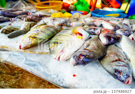 Fish sale at local market. Fresh seafood in ice on counter in grocer Fish sale at local market. Fresh seafood in ice on counter in grocer 137486927