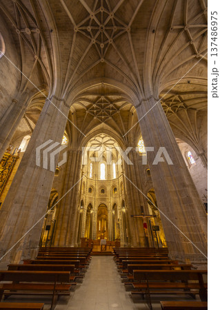 Soaring vaults creating an impressive architectural space Soaring vaults creating an impressive architectural space 137486975
