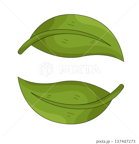 illustration of green leaf illustration of green leaf 137487273