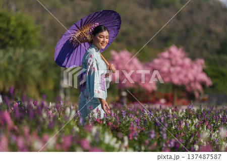 woman in yukata (kimono dress) holding umbrella with sakura flower or cherry blossom blooming in garden 137487587