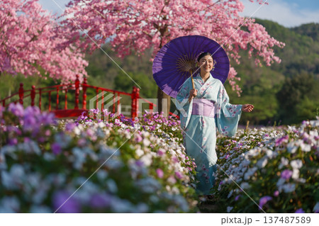 woman in yukata (kimono dress) holding umbrella with sakura flower or cherry blossom blooming in garden woman in yukata (kimono dress) holding umbrella with sakura flower or cherry blossom blooming in garden 137487589