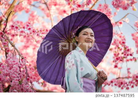 woman in yukata (kimono dress) holding umbrella with sakura flower or cherry blossom blooming in garden 137487595