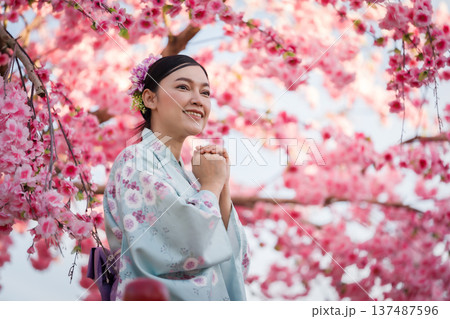 woman in yukata (kimono dress) with sakura flower or cherry blossom blooming in garden 137487596