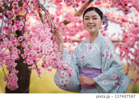 woman in yukata (kimono dress) with sakura flower or cherry blossom blooming in garden woman in yukata (kimono dress) with sakura flower or cherry blossom blooming in garden 137487597