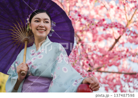 woman in yukata (kimono dress) holding umbrella with sakura flower or cherry blossom blooming in garden 137487598