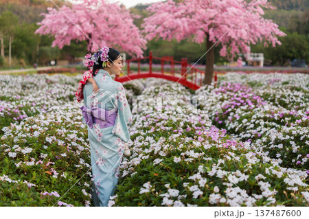 woman in yukata (kimono dress) with sakura flower or cherry blossom blooming in garden 137487600