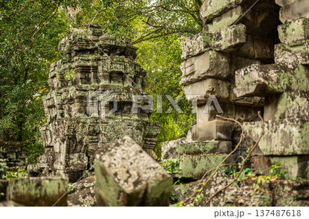 Ancient stone temple tower covered in green moss and surrounded by lush forest trees at abandoned archaeological site in Siem Reap 137487618