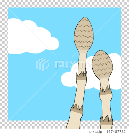 Tsukushi插圖 137487782