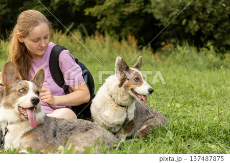 Professional dog walker young woman with pack of dogs is sitting on grass and enjoying walk animals. 137487875