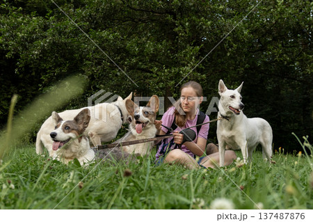 Professional dog walker young woman with pack of dogs is sitting on grass and enjoying walk animals. Professional dog walker young woman with pack of dogs is sitting on grass and enjoying walk animals. 137487876