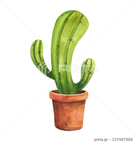 Watercolor illustration of a funny curved cactus in a brown pot, hand drawn houseplants for decor in a simple style Watercolor illustration of a funny curved cactus in a brown pot, hand drawn houseplants for decor in a simple style 137487888