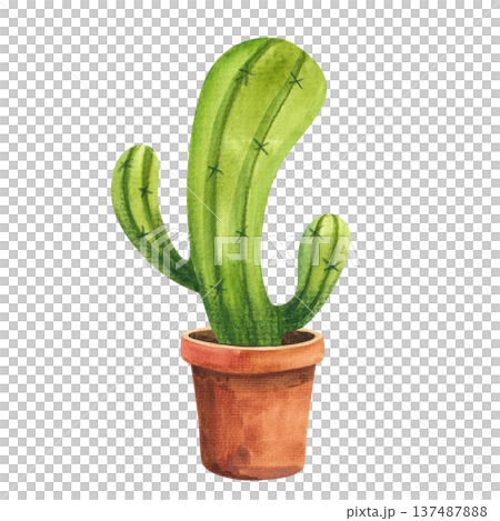 Watercolor illustration of a funny curved cactus in a brown pot, hand drawn houseplants for decor in a simple style 137487888