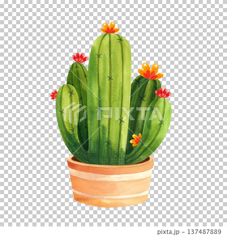 Watercolor illustration of a round blooming cactus in a brown pot, hand drawn houseplants for decor in a simple style 137487889