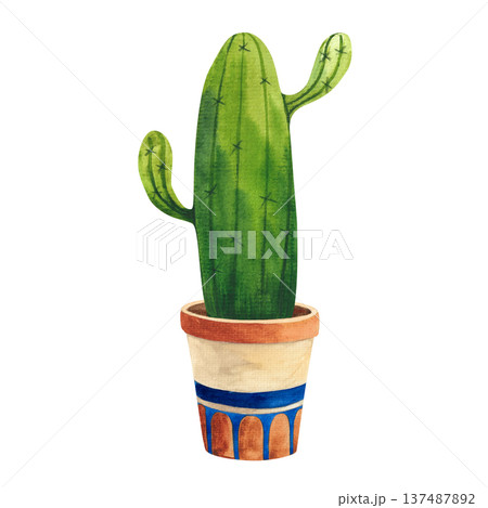 Watercolor illustration of a cactus in a decorative pot with a pattern, hand-drawn houseplants for decor in a simple style Watercolor illustration of a cactus in a decorative pot with a pattern, hand-drawn houseplants for decor in a simple style 137487892
