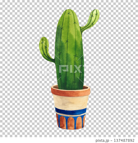 Watercolor illustration of a cactus in a decorative pot with a pattern, hand-drawn houseplants for decor in a simple style 137487892