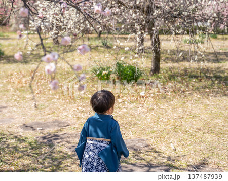 桜の咲く公園で遊ぶ着物の幼児 137487939
