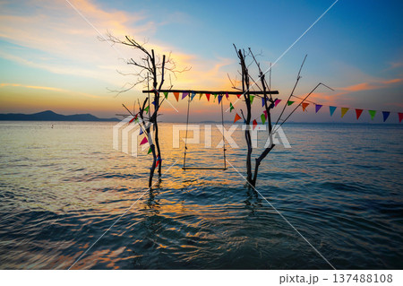 Swing on sea beach on sunset. Swing hangs on tree branch on sandy beach at tropical resort. 137488108