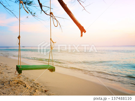 Swing on sea beach on sunset. Swing hangs on tree branch on sandy beach at tropical resort. 137488110