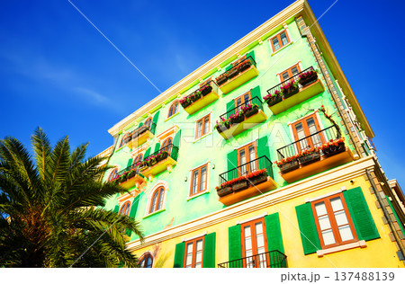 Green facade building with balconies and palm tree on blue sky background. Apartment buildings Green facade building with balconies and palm tree on blue sky background. Apartment buildings 137488139