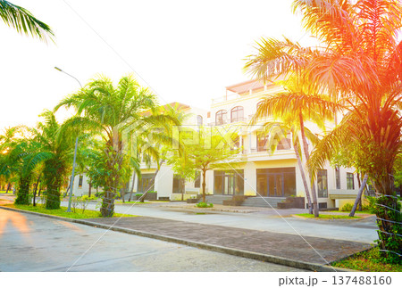 Palm trees at villa. Palm trees on hotel apartments background. Villa apartments on bright sky Palm trees at villa. Palm trees on hotel apartments background. Villa apartments on bright sky 137488160