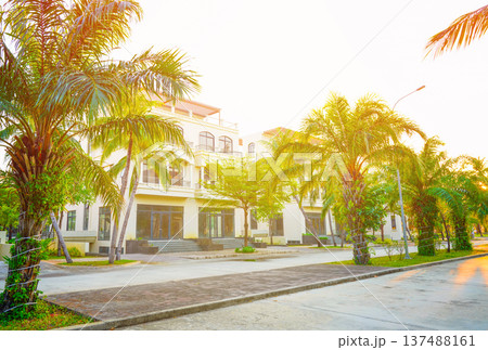 Palm trees at villa. Palm trees on hotel apartments background. Villa apartments on bright sky Palm trees at villa. Palm trees on hotel apartments background. Villa apartments on bright sky 137488161
