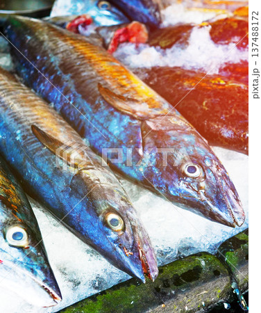 Fish close-up in seafood market. Fresh fish sale at local market. Freh seafood in ice on counter Fish close-up in seafood market. Fresh fish sale at local market. Freh seafood in ice on counter 137488172