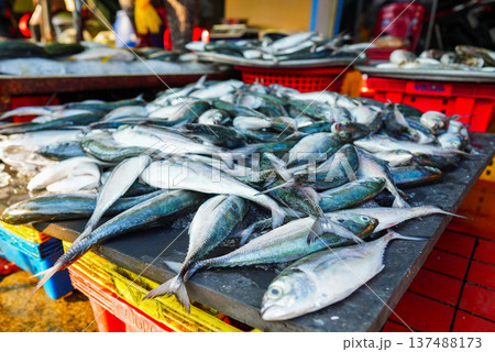 Fish close-up in seafood market. Fresh fish sale at local market. Freh seafood in ice on counter Fish close-up in seafood market. Fresh fish sale at local market. Freh seafood in ice on counter 137488173