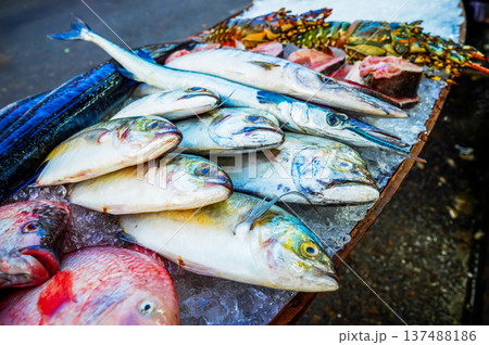 Fish in seafood market. Fresh fish sale at local market. Freh seafood in ice on counter Fish in seafood market. Fresh fish sale at local market. Freh seafood in ice on counter 137488186