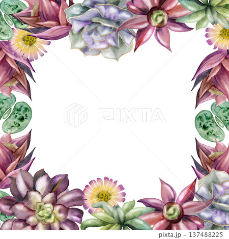 Succulent rosettes, flowering cacti, lithops living pebbles border frame. Isolated illustration hand drawn in watercolor for greeting cards, packaging accents, handmade cosmetics branding, spa menus. Succulent rosettes, flowering cacti, lithops living pebbles border frame. Isolated illustration hand drawn in watercolor for greeting cards, packaging accents, handmade cosmetics branding, spa menus. 137488225