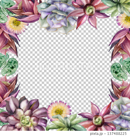 Succulent rosettes, flowering cacti, lithops living pebbles border frame. Isolated illustration hand drawn in watercolor for greeting cards, packaging accents, handmade cosmetics branding, spa menus. Succulent rosettes, flowering cacti, lithops living pebbles border frame. Isolated illustration hand drawn in watercolor for greeting cards, packaging accents, handmade cosmetics branding, spa menus. 137488225