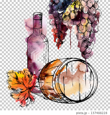 Cellar barrel cask with wine bottle, hanging grape clusters and leaf. Isolated illustration hand drawn in watercolor and ink for menus, event graphics, label design, blog imagery, winery identity. 137488228