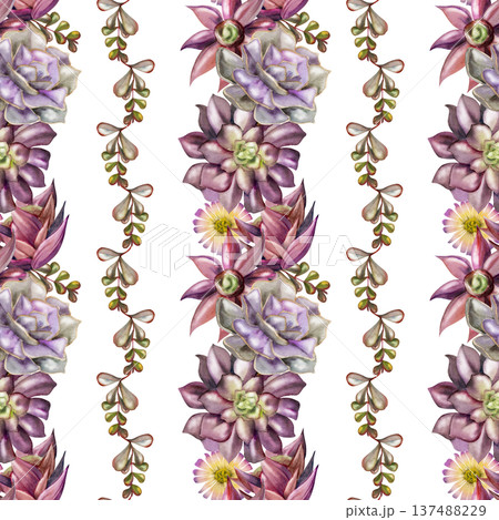 Repeating stripe pattern with alternating echeveria, aeonium succulent rosettes and trailing greenery of kalanchoe branches. Isolated illustration hand drawn in watercolor. Gift wrap, wallpaper design Repeating stripe pattern with alternating echeveria, aeonium succulent rosettes and trailing greenery of kalanchoe branches. Isolated illustration hand drawn in watercolor. Gift wrap, wallpaper design 137488229