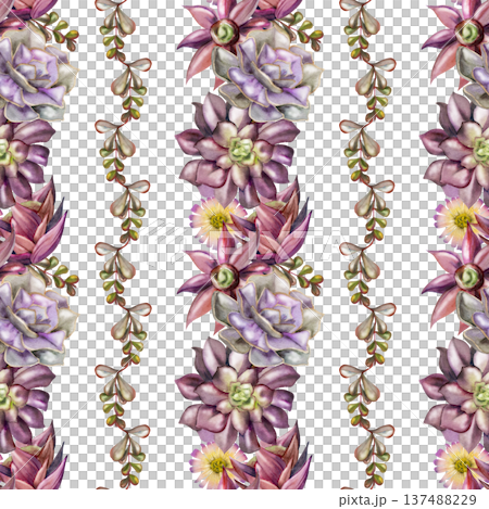 Repeating stripe pattern with alternating echeveria, aeonium succulent rosettes and trailing greenery of kalanchoe branches. Isolated illustration hand drawn in watercolor. Gift wrap, wallpaper design Repeating stripe pattern with alternating echeveria, aeonium succulent rosettes and trailing greenery of kalanchoe branches. Isolated illustration hand drawn in watercolor. Gift wrap, wallpaper design 137488229
