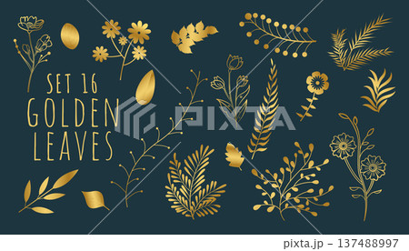 decorative golden leaves collection on dark blue background 137488997