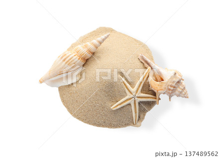 Group of seashells placed on a pile of sand, PNG 137489562