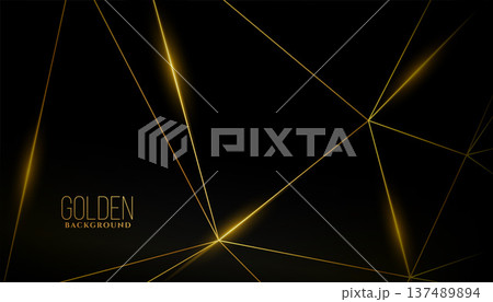 geometric style golden line on dark background geometric style golden line on dark background 137489894