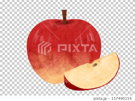 水彩 りんご カット 食材イラスト 単体素材 ペットフード 137490154