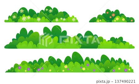 Green bush border with flowers, landscape shrub 137490221
