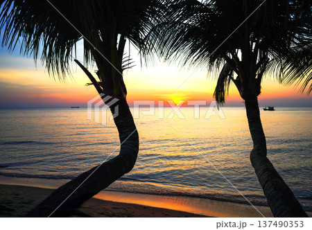 Sunset view over ocean with palm trees. View from beach in evening. Palm trees on sandy beach Sunset view over ocean with palm trees. View from beach in evening. Palm trees on sandy beach 137490353