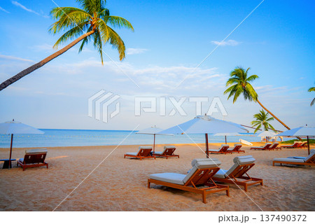 Sunset at tropical sand beach with palm trees. Visitors relaxing on lounge chairs at sea in seaside 137490372