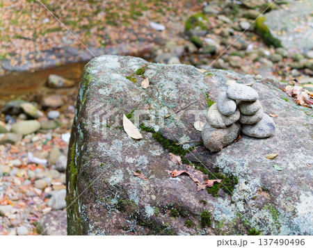 渓流沿いの苔むした岩に積まれた石のバランスアート 137490496