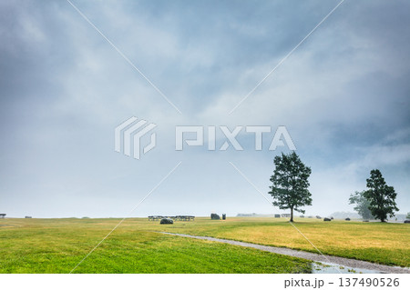 Foggy summer landscape in Norway Foggy summer landscape in Norway 137490526