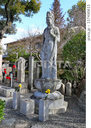 観音菩薩像 新選組隊士たちの訓練場だった壬生寺 観音菩薩像 新選組隊士たちの訓練場だった壬生寺 137490615