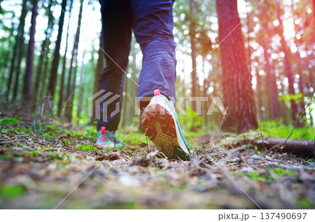 Trail running shoes for hiking. Hiking in sports shoes in forest trail. Sports shoes for cross Trail running shoes for hiking. Hiking in sports shoes in forest trail. Sports shoes for cross 137490697