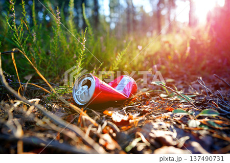 Discarded Soda Can Rests in Forest Surrounded by Leaves, Greenery. Bright red soda can lies crumpled Discarded Soda Can Rests in Forest Surrounded by Leaves, Greenery. Bright red soda can lies crumpled 137490731